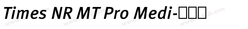 Times NR MT Pro Medi字体转换 Times NR MT Pro Medi字体转换